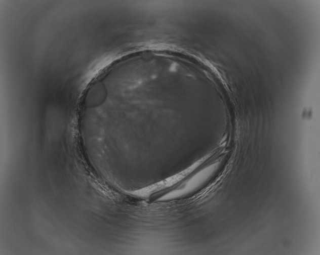 X0000088881263200706291555