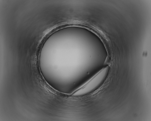 X0000088881264200706291555