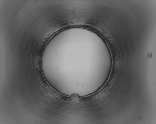 X0000088881265200706291555