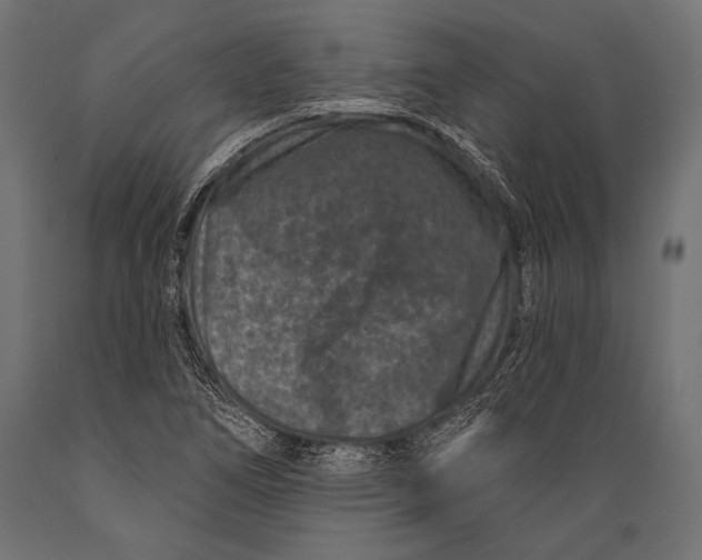 X0000088881266200706291555