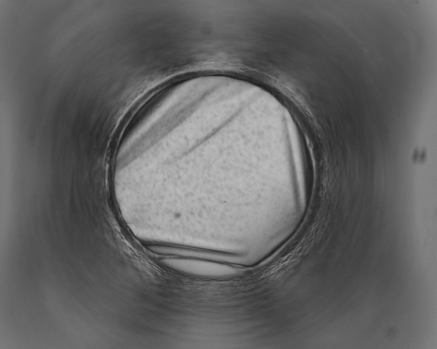 X0000088881268200706291555