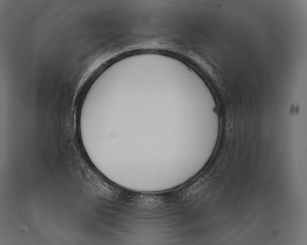 X0000088881270200706291555