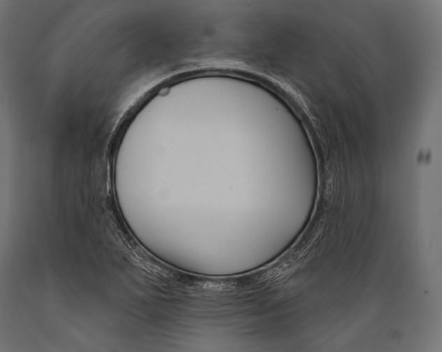 X0000088881271200706291555