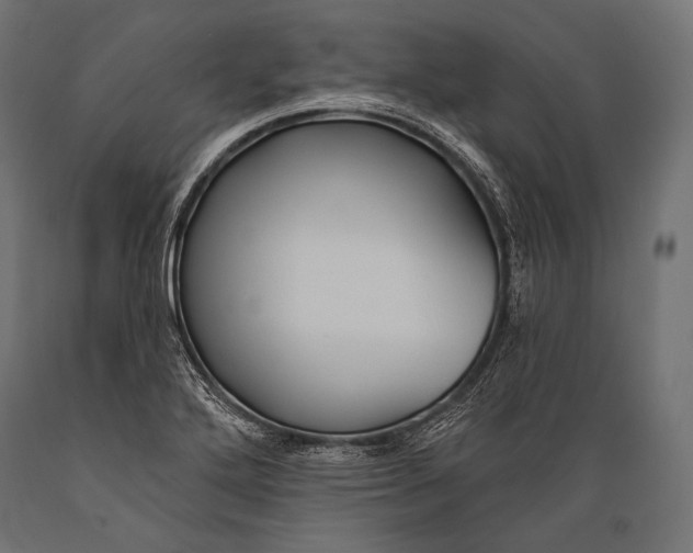 X0000088881272200706291555