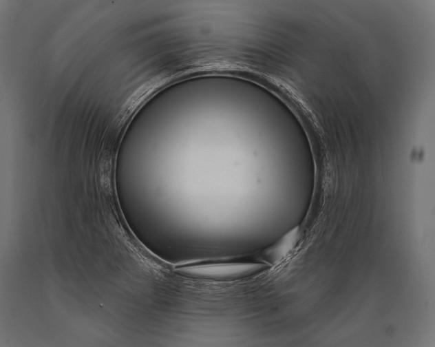 X0000088881273200706291555