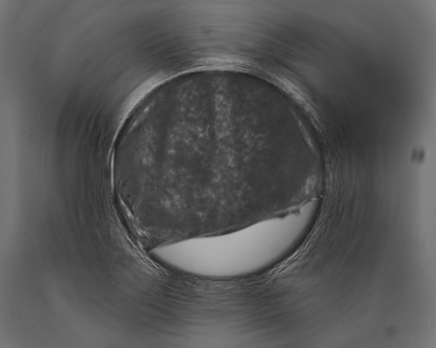 X0000088881275200706291555