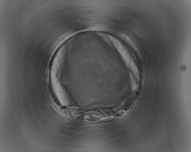 X0000088881276200706291555