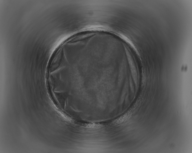 X0000088881277200706291555