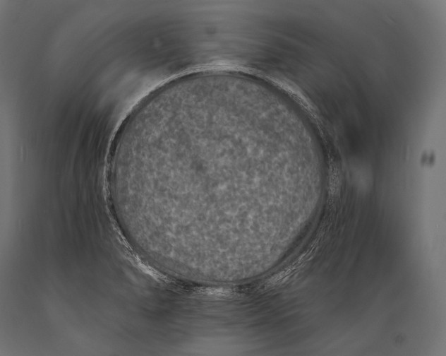 X0000088881278200706291555