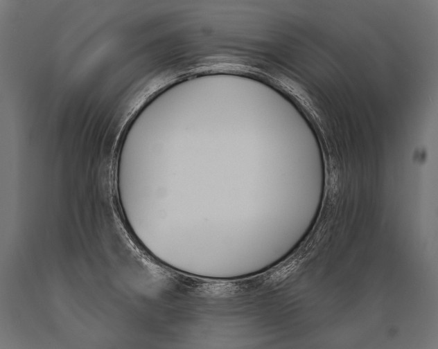 X0000088881282200706291555