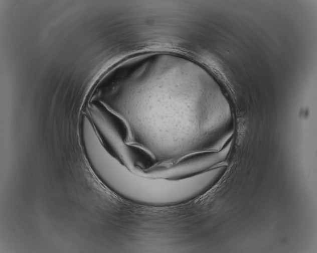 X0000088881284200706291555