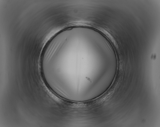 X0000088881285200706291555