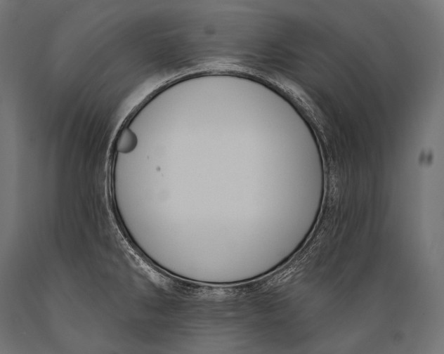 X0000088881286200706291555