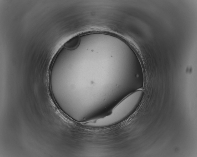 X0000088881287200706291555