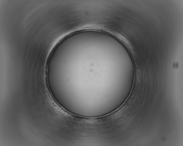 X0000088881288200706291555