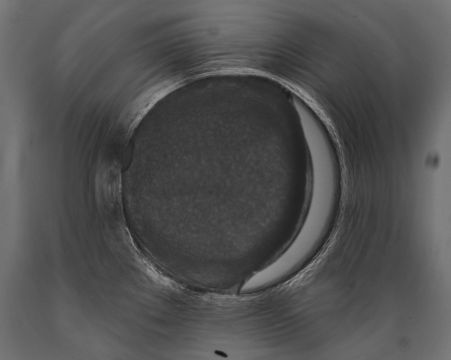 X0000088881289200706291555