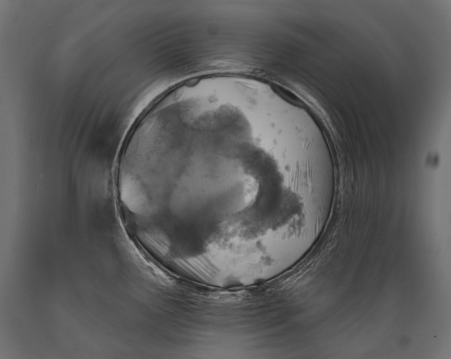 X0000088881291200706291555