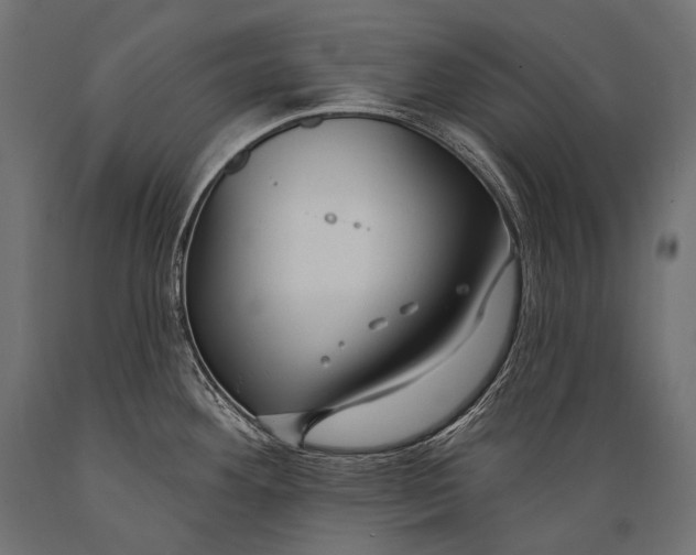 X0000088881292200706291555