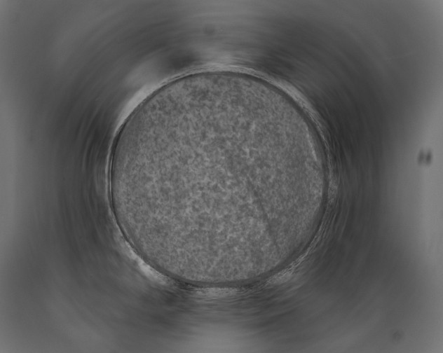 X0000088881294200706291555