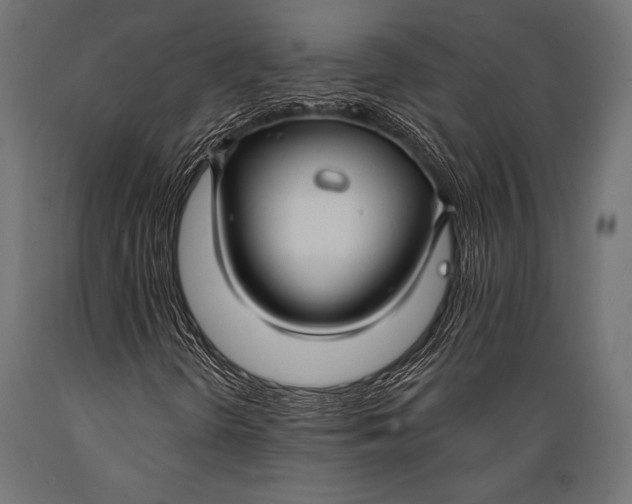 X0000088881298200706291554