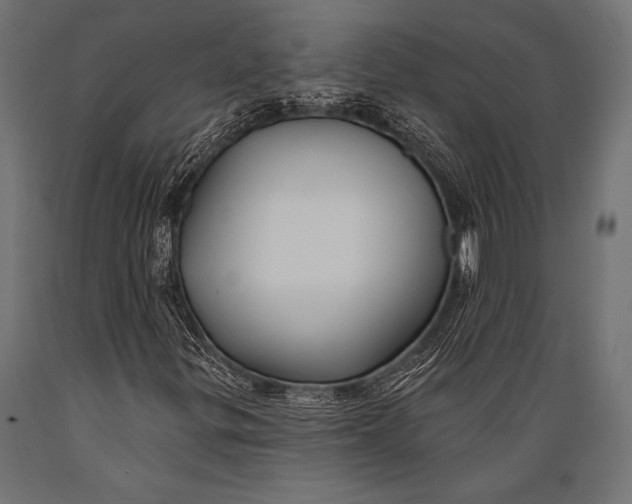 X0000088881299200706291554