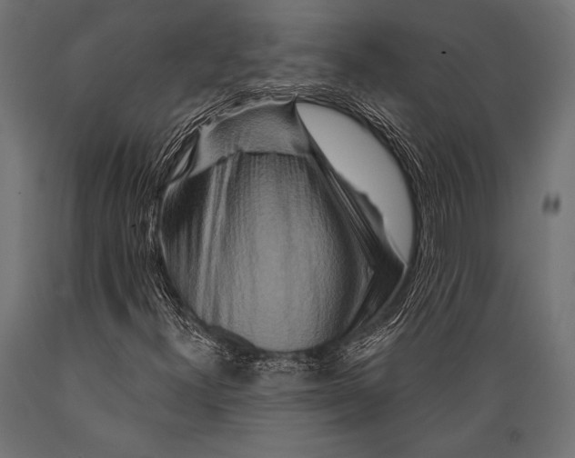 X0000088881300200706291554