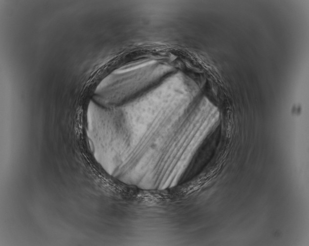 X0000088881301200706291554