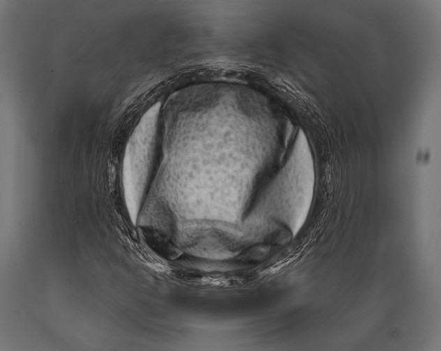 X0000088881302200706291554