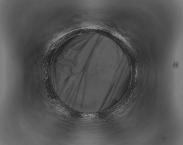 X0000088881303200706291554