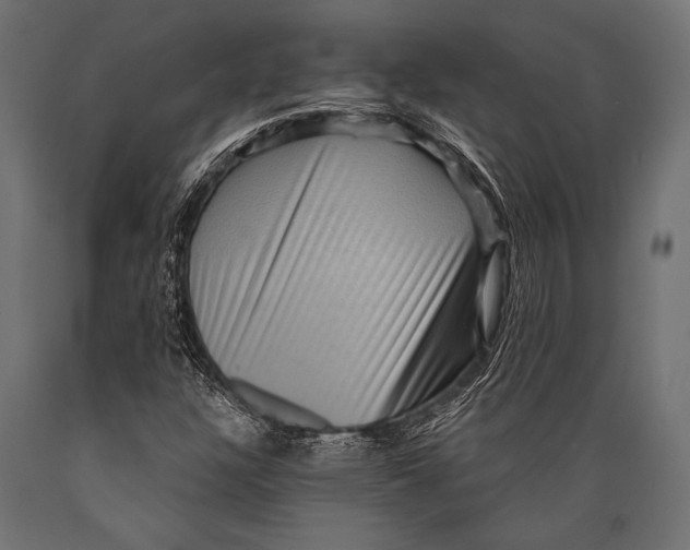 X0000088881304200706291554