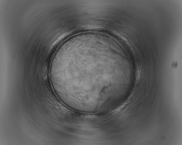 X0000088881306200706291554