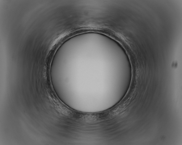 X0000088881307200706291554