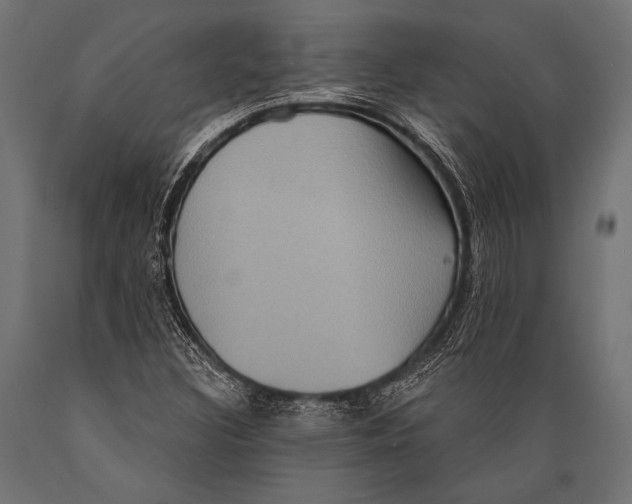 X0000088881308200706291554