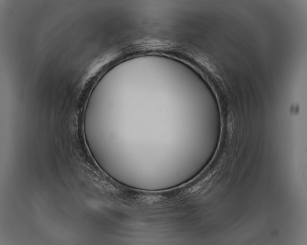 X0000088881309200706291554