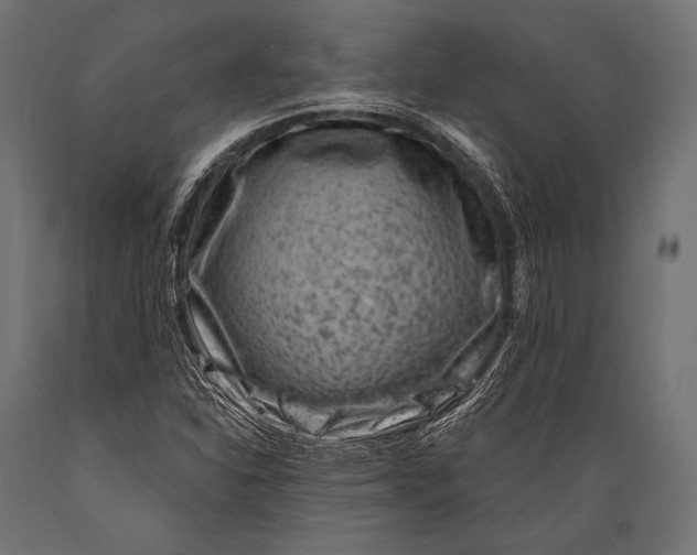 X0000088881310200706291554