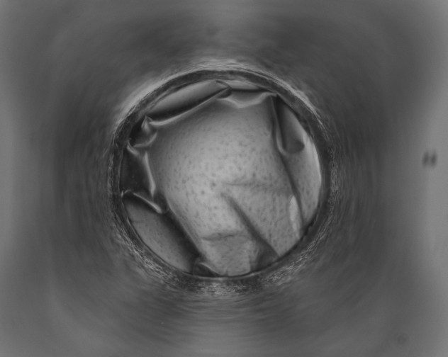 X0000088881311200706291554