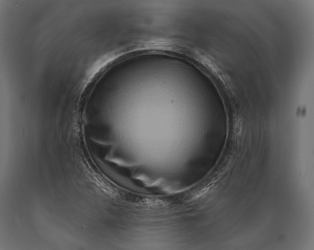 X0000088881312200706291554