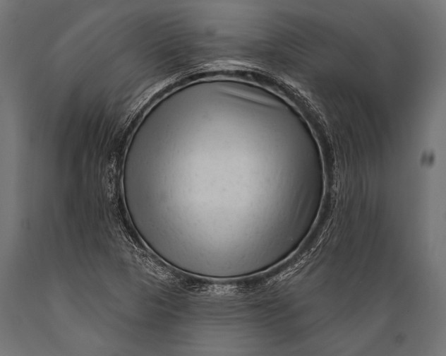 X0000088881313200706291554