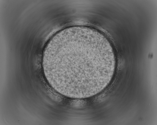 X0000088881314200706291554