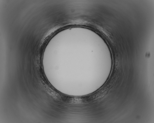 X0000088881315200706291554