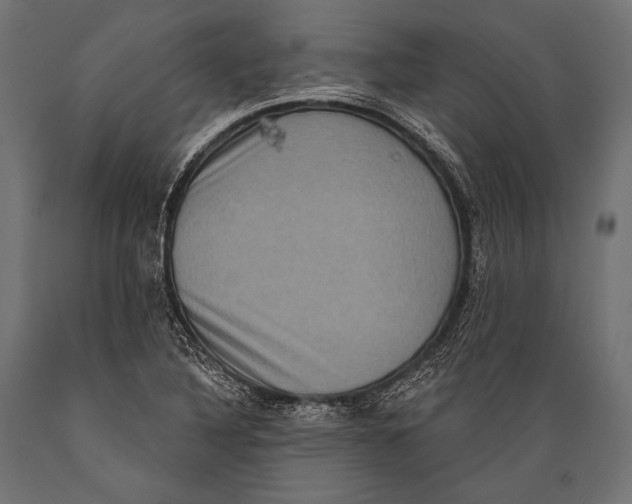 X0000088881316200706291554