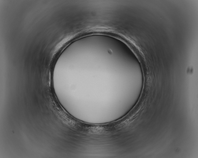 X0000088881317200706291554