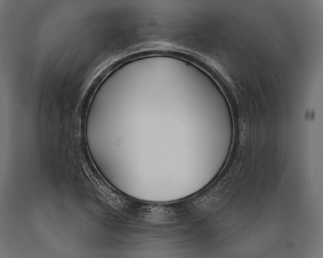 X0000088881318200706291554