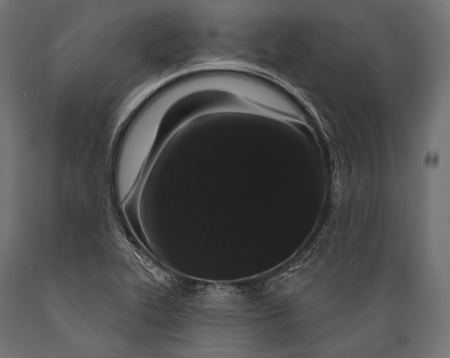 X0000088881319200706291554