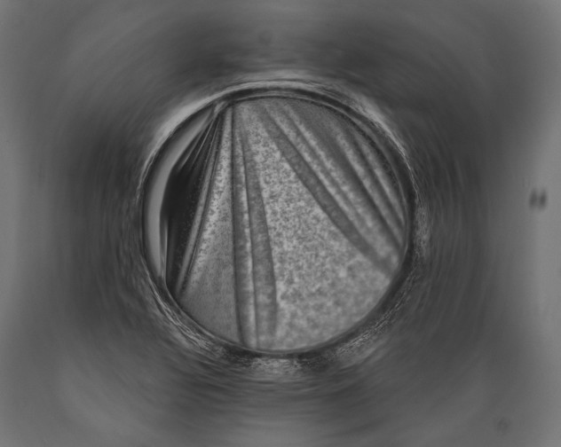 X0000088881320200706291554