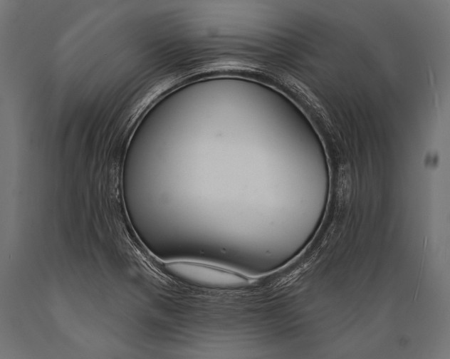 X0000088881321200706291554