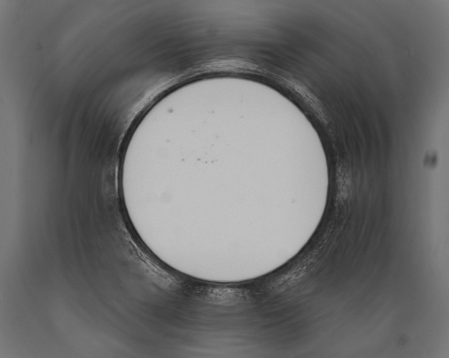 X0000088881322200706291554