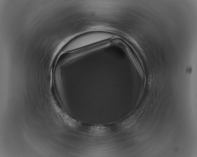 X0000088881323200706291554