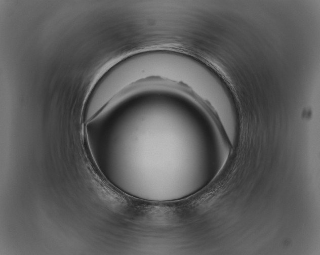 X0000088881324200706291554