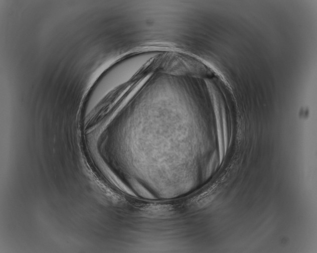 X0000088881325200706291554